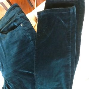 Massimo dutti high rise velvet skinny pants